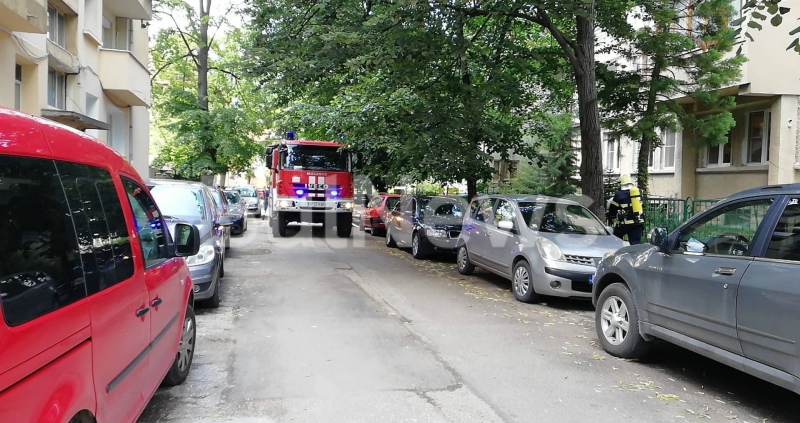 Екип на пожарната отцепи сградата на Държавното горско стопанството във