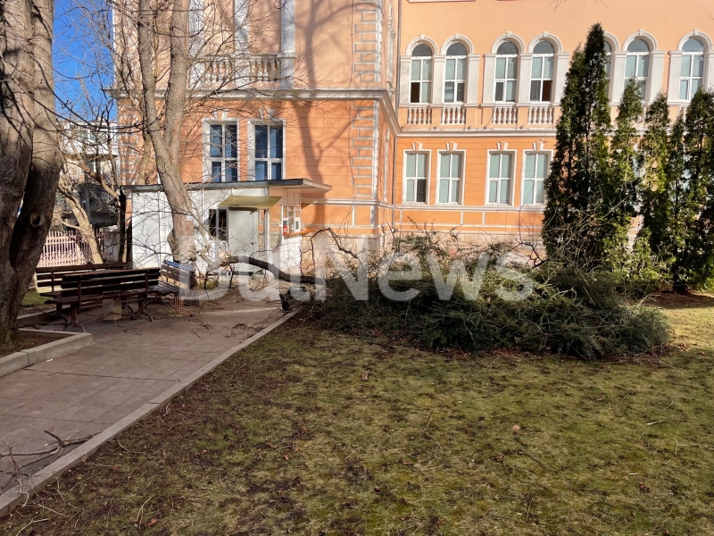 Силният вятър нанесе поредните щети във Враца видя репортер на