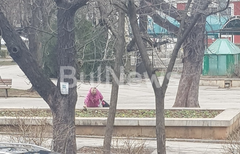 Нагла бабка краде цветята от парка на ДНА във Враца