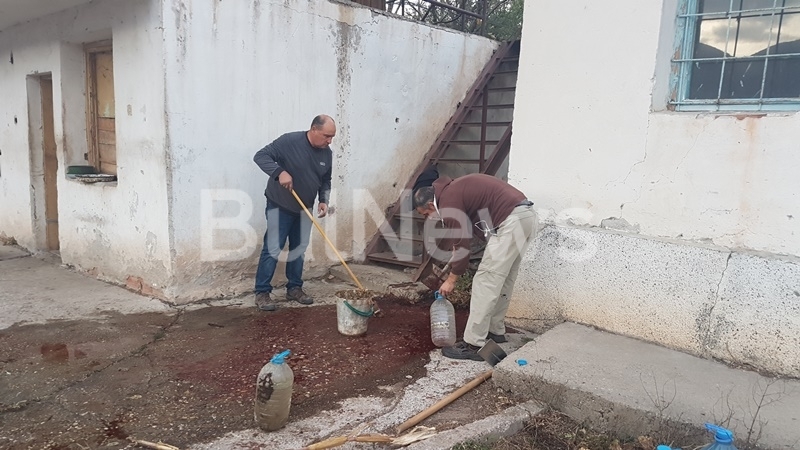 На кървава гледка като от филм на ужасите се е