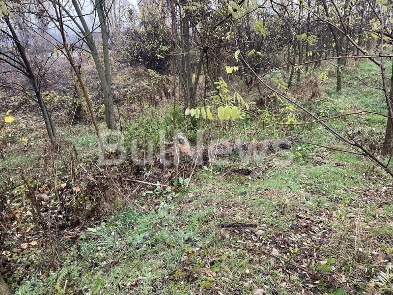 Не отваряйте! Ужасяващи кадри на намерения труп във Враца, полицията с първи версии за причините за смъртта /снимки 18+/