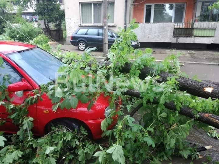 Със заповед на временно изпълняващия длъжността кмет Тихомир Трифонов в