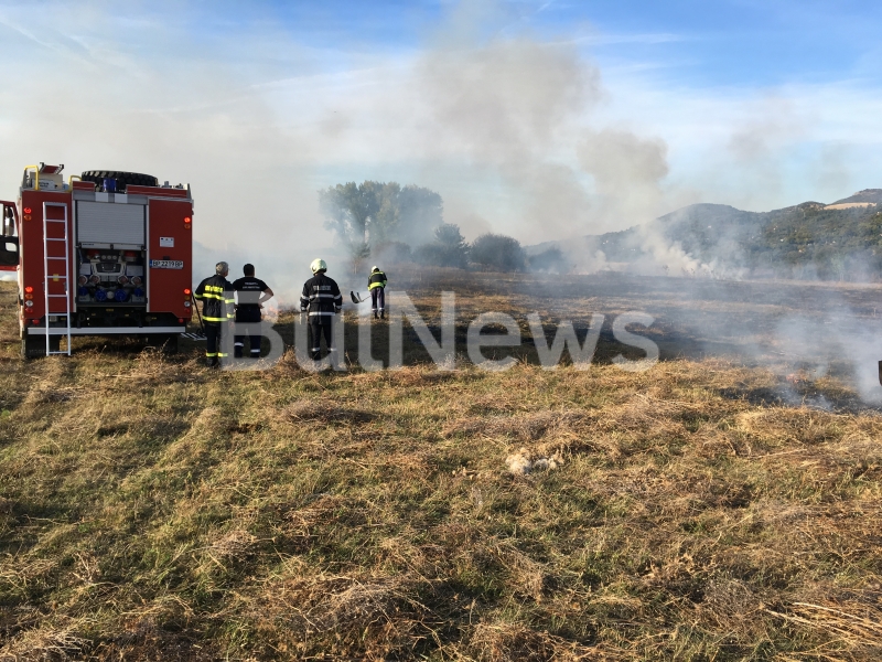Голям пожар бушува в полето край Враца видя само репортер