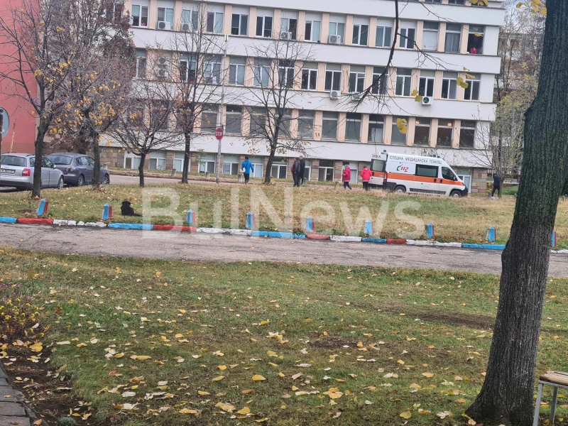 Кошмар! Озверели кучета нахапаха жена в двора на болницата във Враца /снимки/