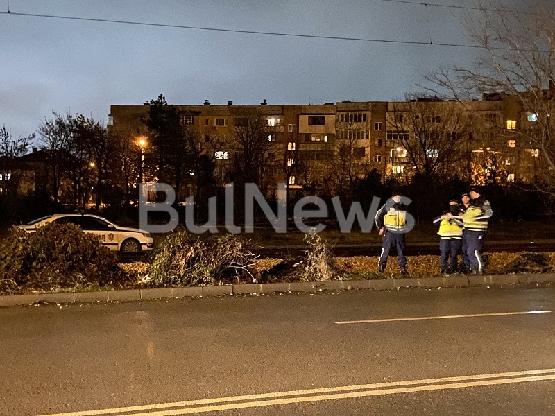 Извънредно! Човек загина под товарен влак във Враца /снимки/
