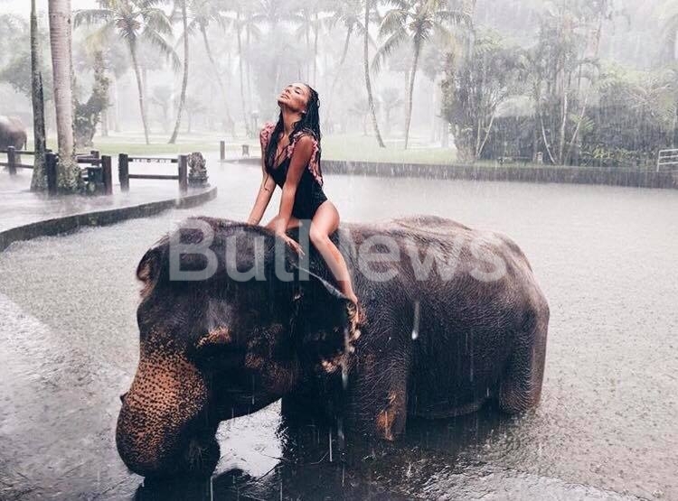 Миналата седмица Николета Лозанова имаше рожден ден и съвсем очаквано