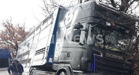 Тир е катастрофирал на главен път Е 79 в Монтанско научи