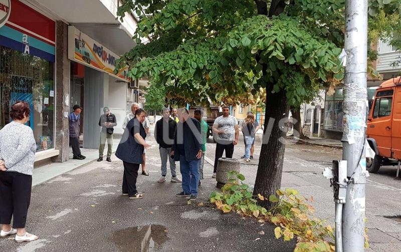 Врачани се разбунтуваха срещу рязането на дърветата по улица Иванка