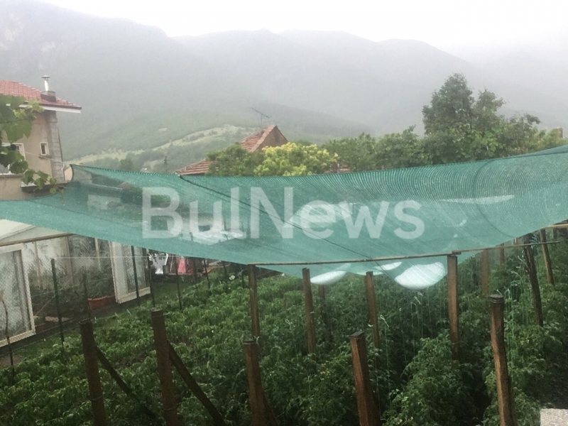 Приливен дъжд придружен от силна градушка удари Северозапада научи BulNews bg