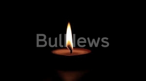 Часове след зверската катастрофа с вълк край Враца при която