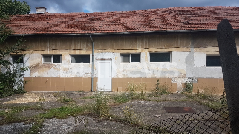 В разгара на скандала с върлуващите зарази животинска драма се