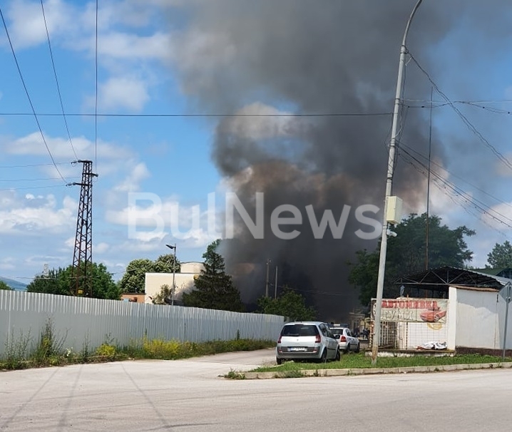 Голям пожар е избухнал в Криводол, видя първо репортер на