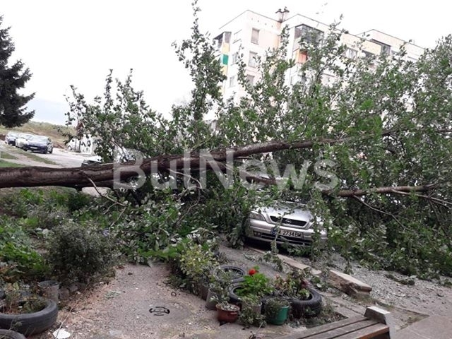 Есента започва с големи поражения от първите силни ветрове за