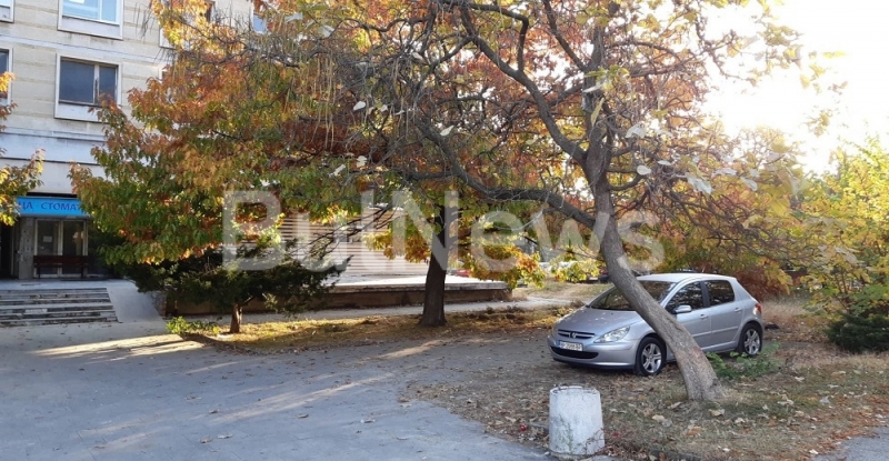 Наглите шофьори във Враца зарязващи автомобилите си където им падне