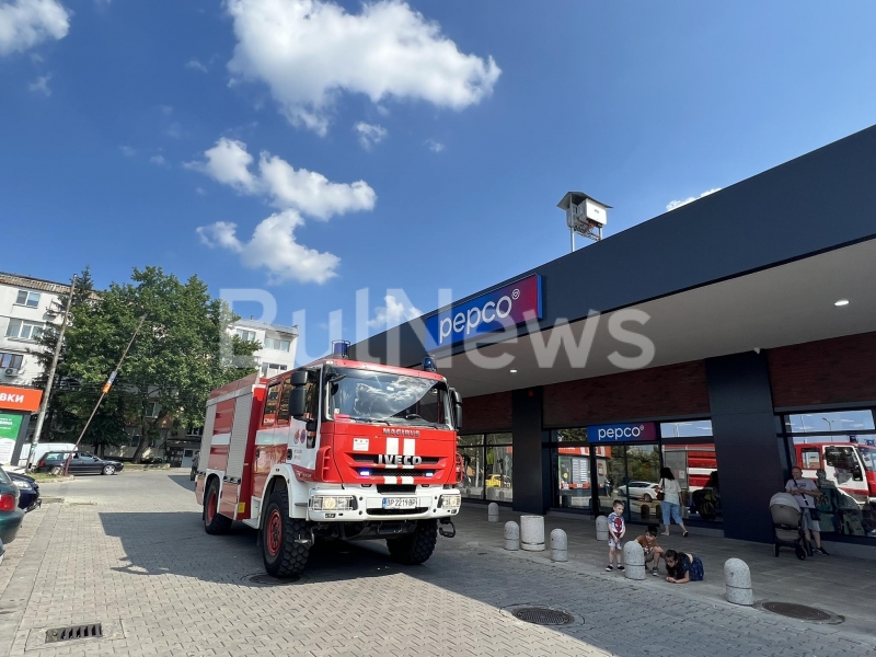 Змия в кола вдигна накрак спасителни екипи във Враца видя