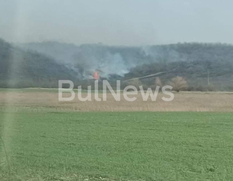 Голям пожар бушува в гората край криводолското село Пудрия научи