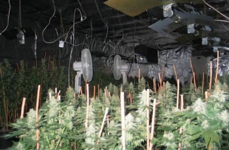 На 15 март около 9 00 часа в село Гривица