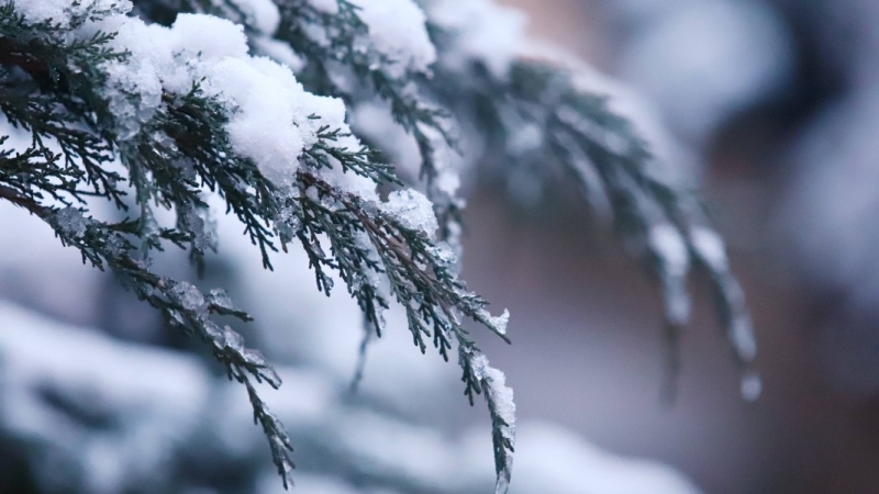 През нощта ще бъде облачно и до полунощ на места