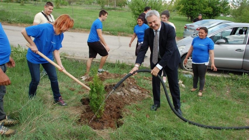 В Монтана засадиха 40 фиданки в района на ж к