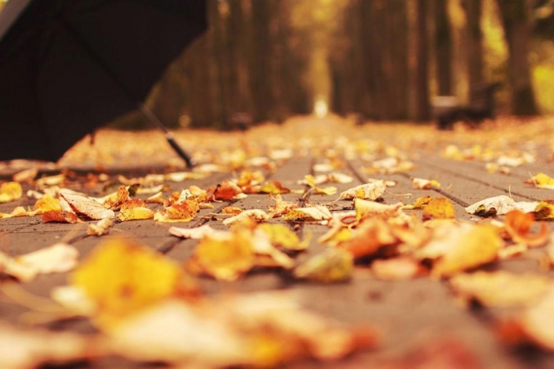 През нощта времето над страната ще се задържи облачно и дъждовно