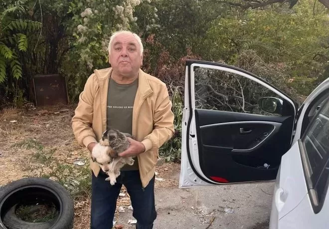 Къде отиде човещината? Мъж опита да изхвърли малки кученца в контейнер за боклук във Враца, граждани се обединиха срещу жестокото деяние /снимки+видео/