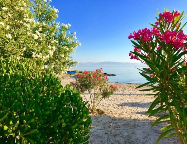 Днес 22 април ще бъде слънчево Ще духа слаб до