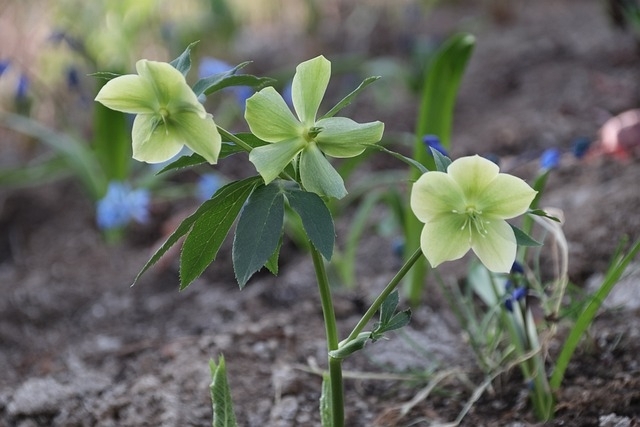 През нощта облачността ще продължи да се разкъсва и намалява
