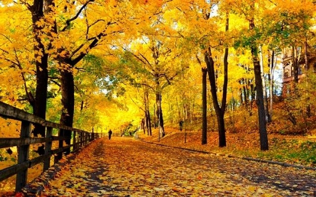 По значителна ниска облачност ще има преди обяд над Източна България