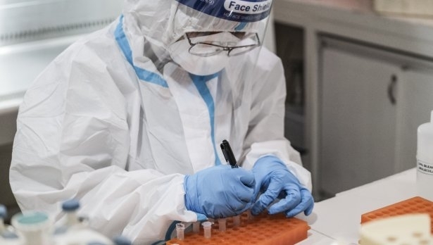 Китайски учени създадоха нов вирус наподобяващ ебола който може да