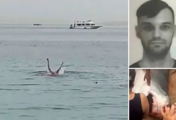 Руснак бе убит от акула в Червено море край бреговете