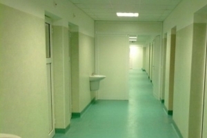 Над 15 000 са подадените молби за инвитро процедури у