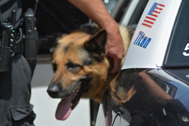 Мъж от американския щат Ню Хемпшър беше арестуван защото ухапа