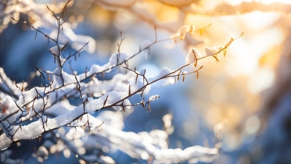 Днес 27 януари времето ще се задържи предимно слънчево и
