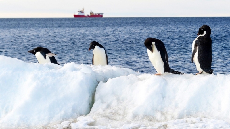 Министерството на образованието и науката отпуска 300 000 лева за