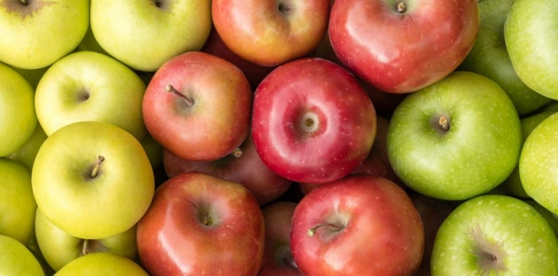 Ябълките съдържат пектин вид фибри които действат като пребиотик С