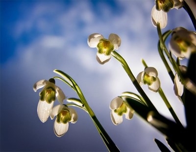 Сутринта ще е хладно с минимални температури между минус 2 deg