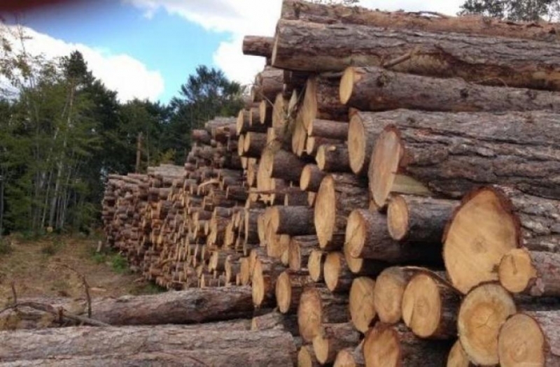 Вчера във Видинско е проведена специализирана операция по линия на