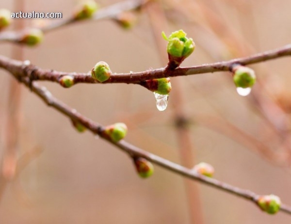Днес ще бъде предимно слънчево Ще духа до умерен вятър