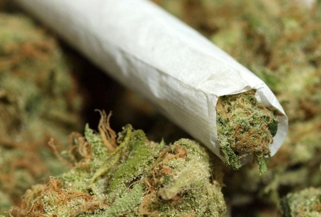 Милиони хора в САЩ казват че употребяват марихуана всеки ден