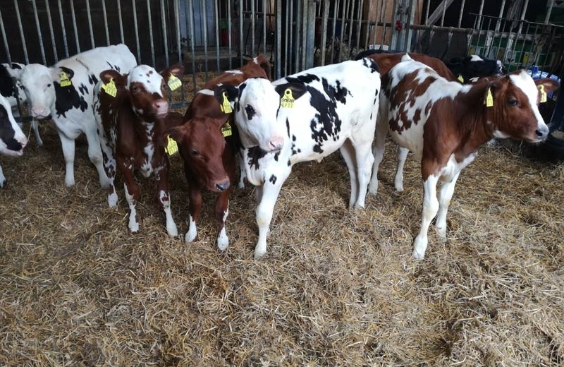 Имаме кампания за промяна на държавния български стандарт за качество