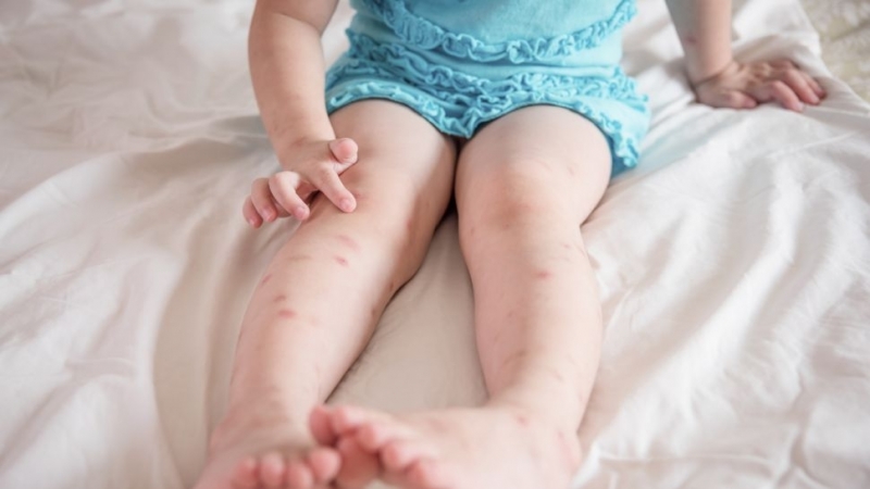 Лятото е сезонът през който децата прекарват най много време навън