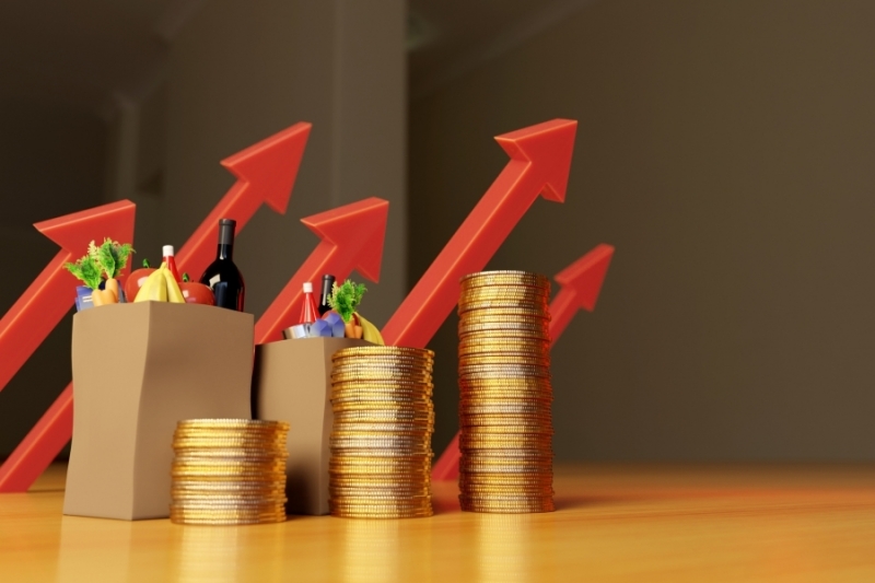 2855 лева на месец са нужни за издръжка на тричленно