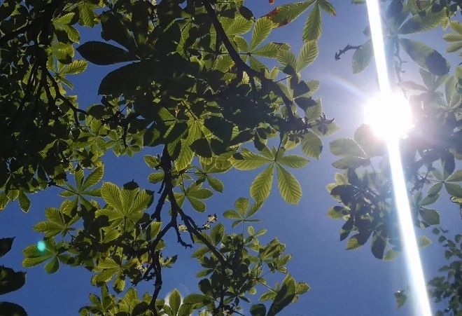 Утре ще бъде предимно слънчево В сутрешните часове отново на