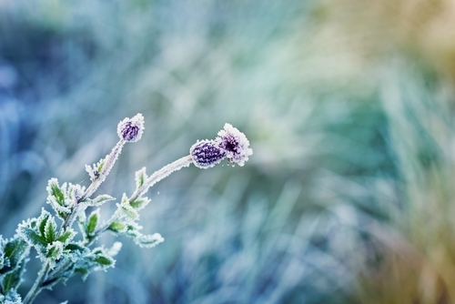 Днес ще бъде необичайно топло за сезона Температурите в почти