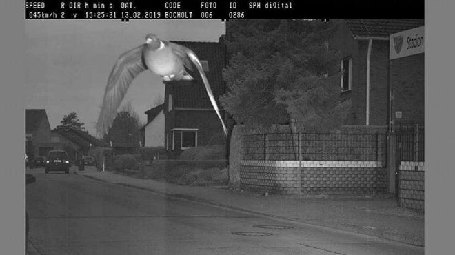 Камера за скорост в тих квартал в немското градче Бохолт