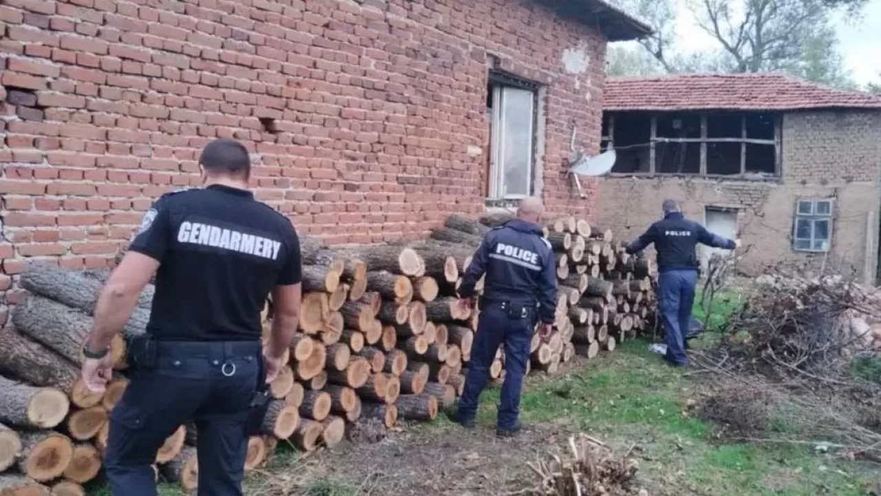 Ченгета следят изкъсо за незаконни дърва във Вършец, друснаха актове на трима