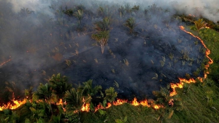 Пожарите в тропическите гори на Амазония в Бразилия, пламнали през