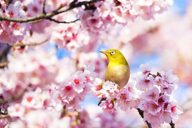 Днес и от части в понеделник ни чака хубаво време