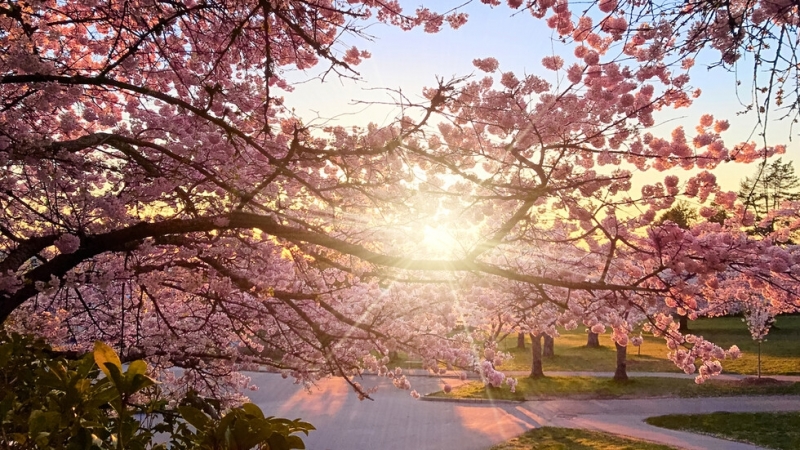 Тази година април се очертава с необичайно високи температури въпреки