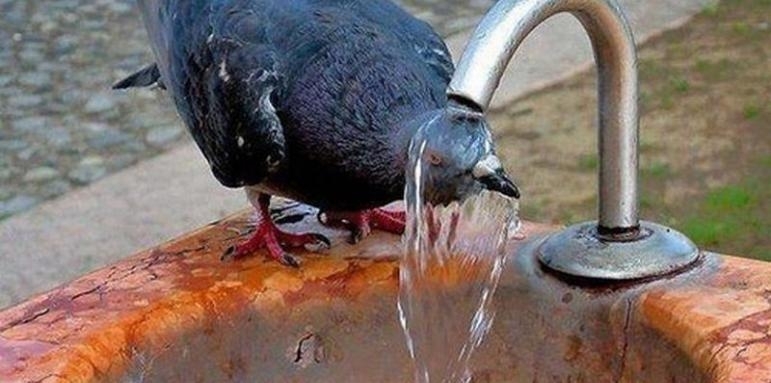 През нощта времето ще бъде ясно и почти тихо Атмосферното